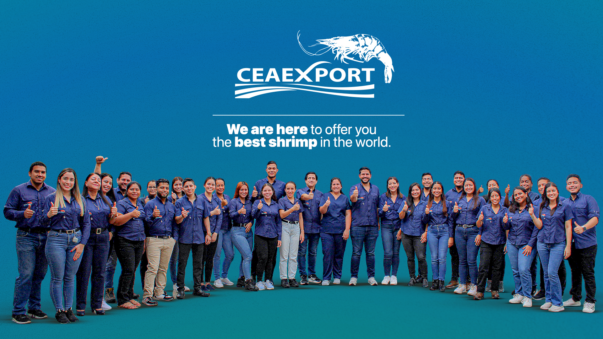 AboutUs_Main_Slides_1